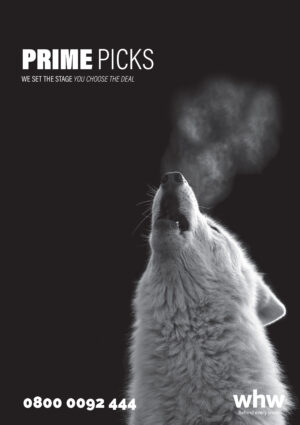 *PRIME PICKS FEBRUARY OFFER*